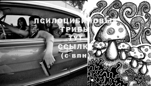мяу мяу мука Бронницы