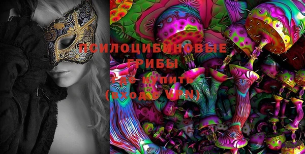 прущая мука Бородино